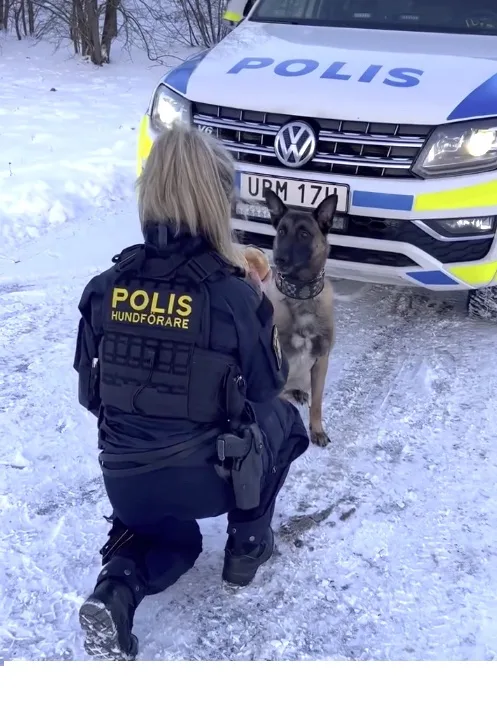 POLIS HUNDFÖRARE RYGGMÄRKE
